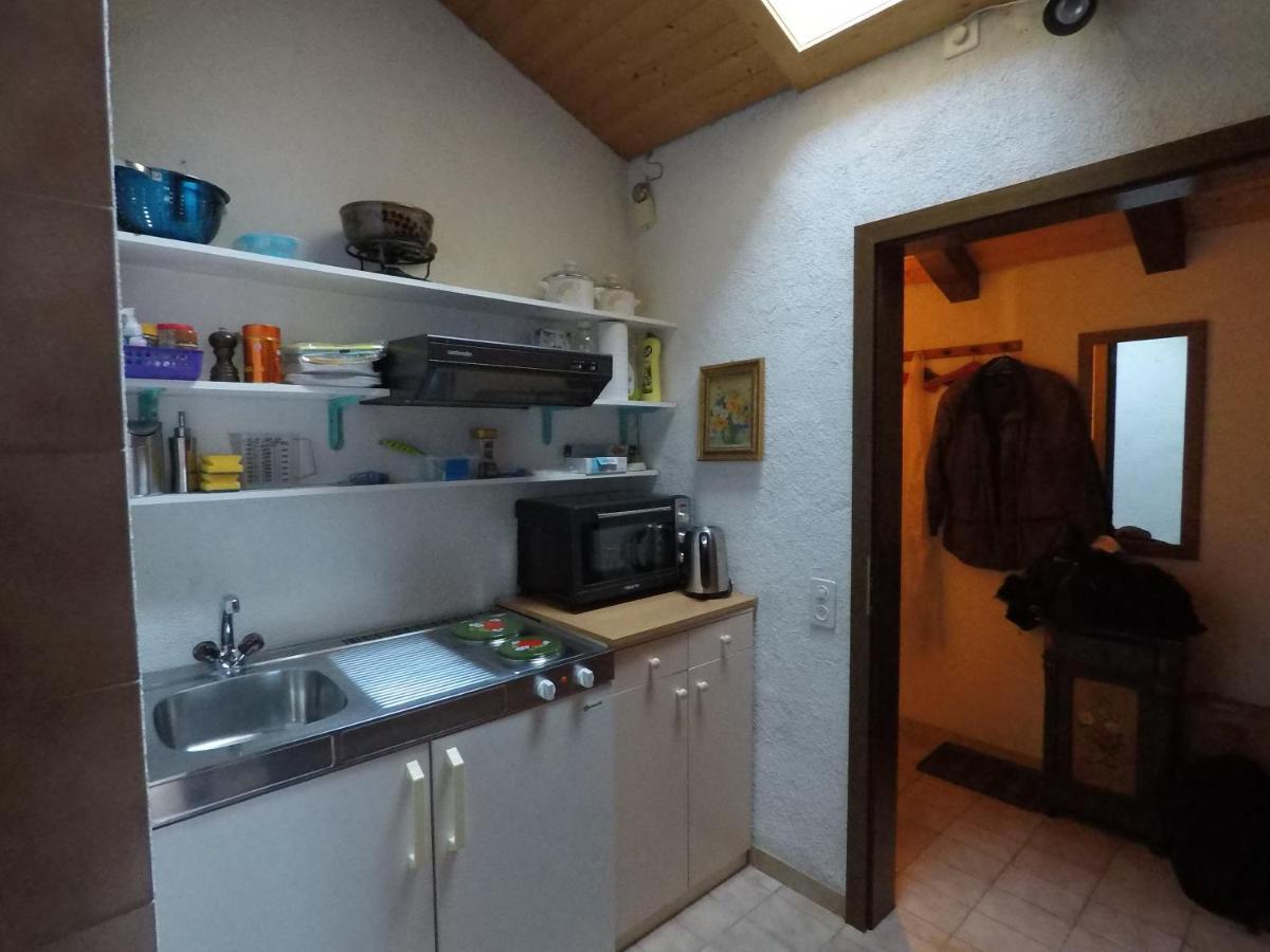 Ferienwohnung Interlaken/Wilderswil Ngoại thất bức ảnh